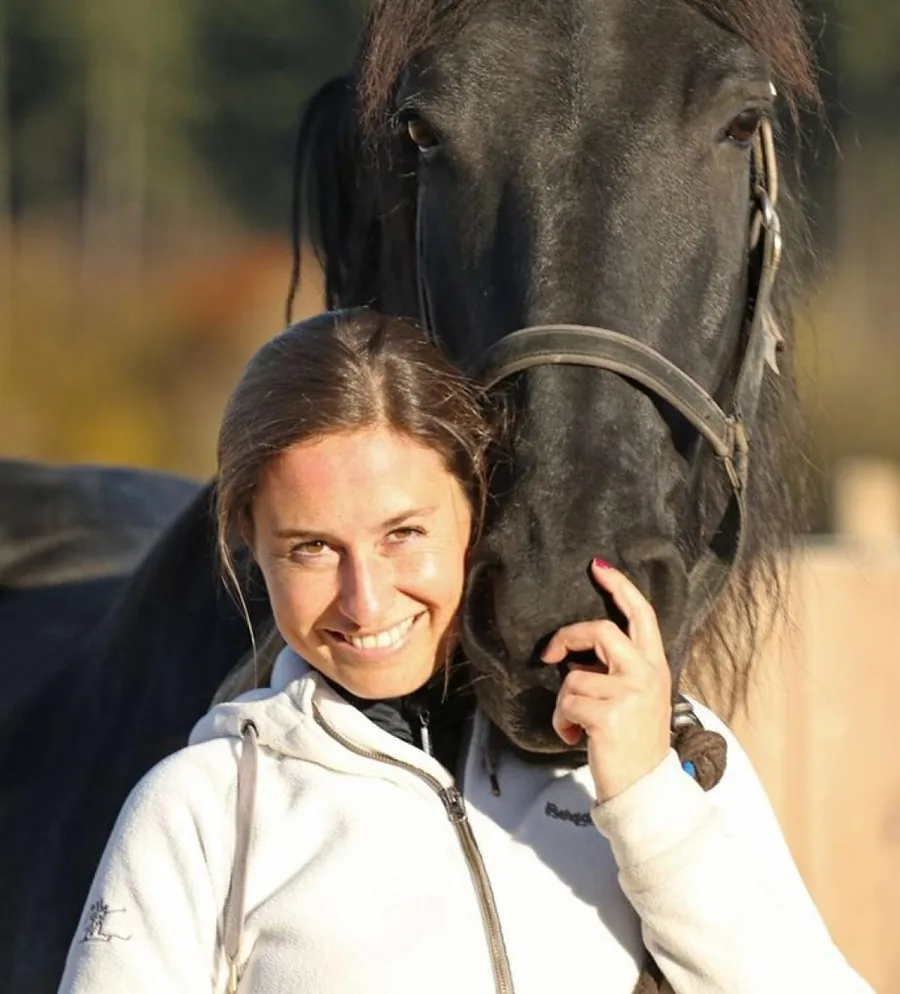 Pferd auf der Weide