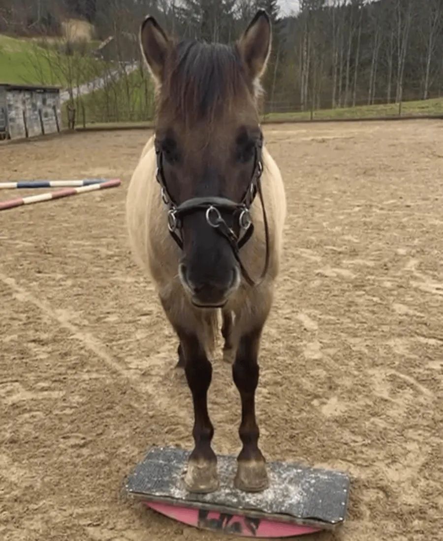 Pia mit Scotti